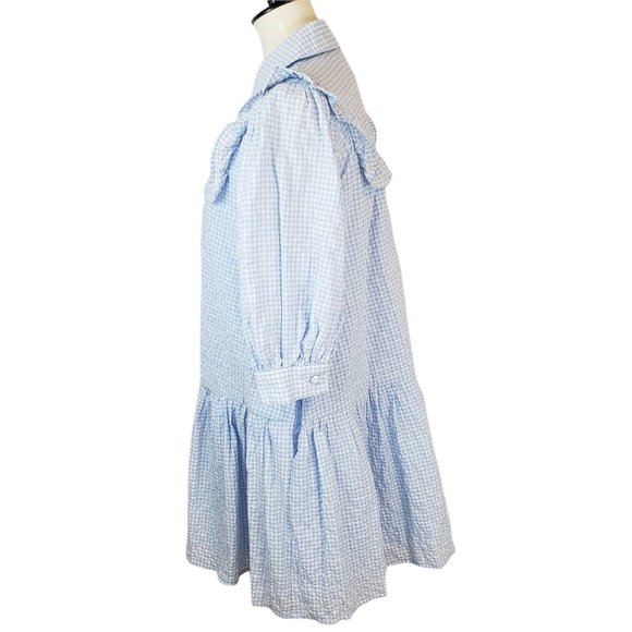 Sandy Liang x Target Blue & White Gingham Check Cropped Sleeve Babydoll Dress - Picture 6 of 10